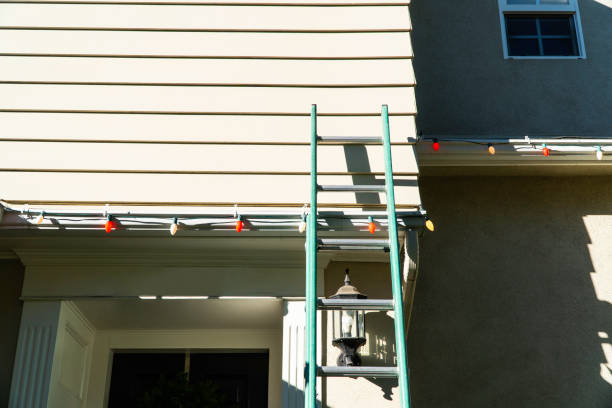 Best Steel Siding Installation  in Elizabeth Lake, CA