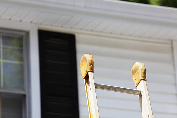Best Aluminum Siding Installation  in Elizabeth Lake, CA